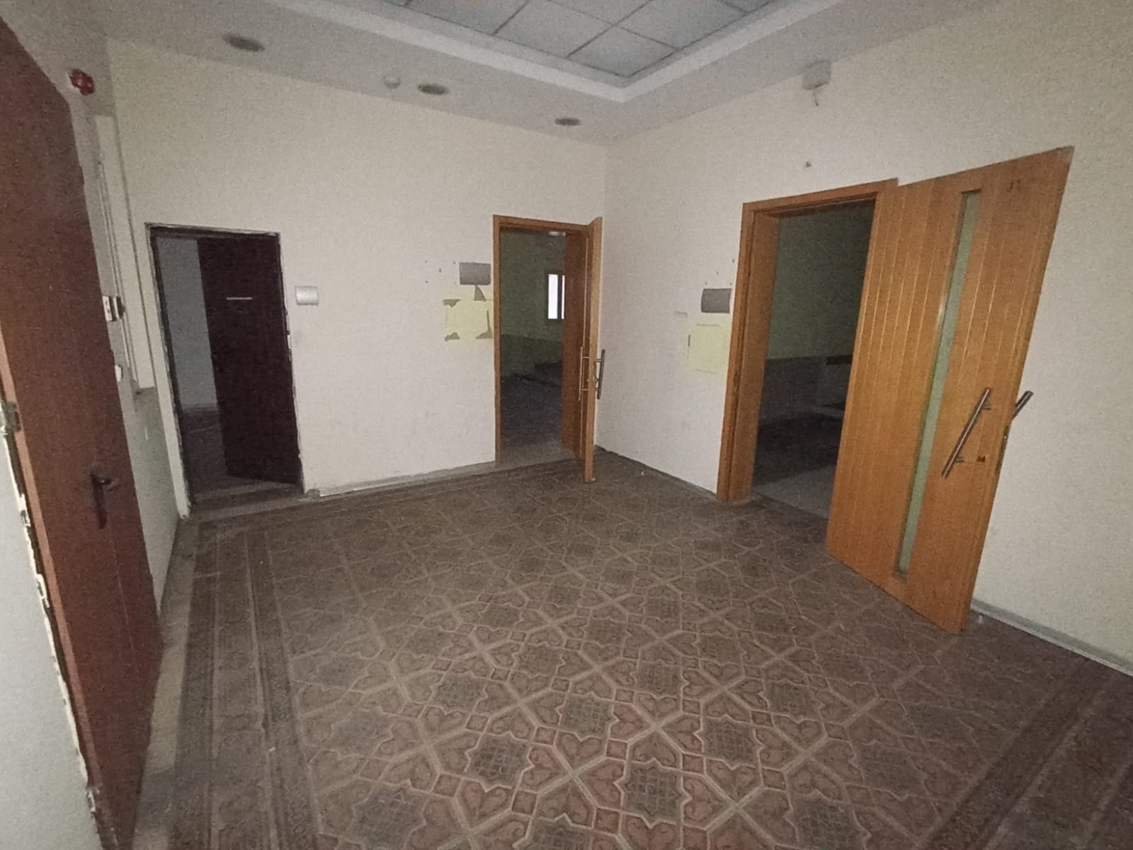 WhatsApp Image 2022-12-26 at 4.52.45 PM.jpeg